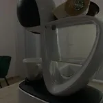 6 Timişoara